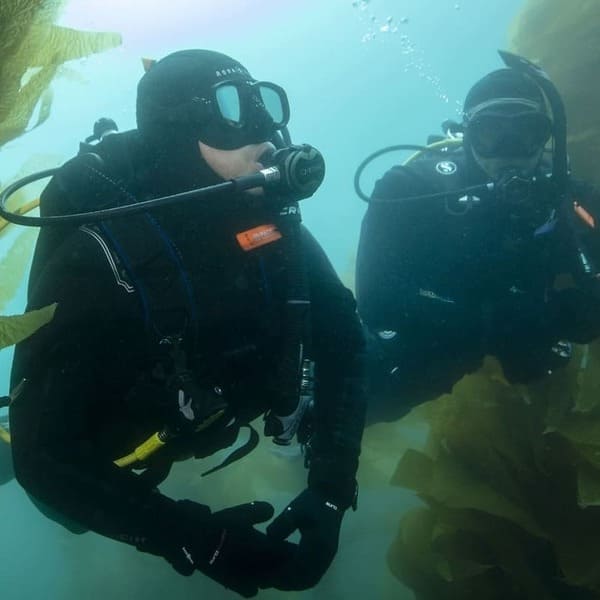 Read more about the article Open Water Diver PADI