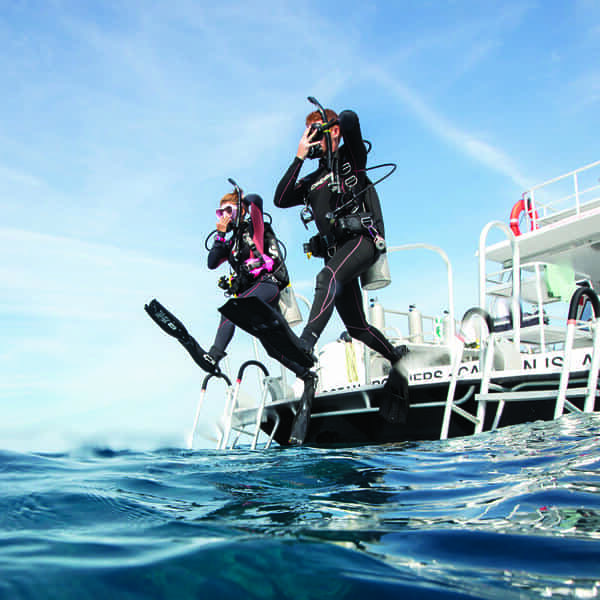 Read more about the article PADI Dry Suit Diver